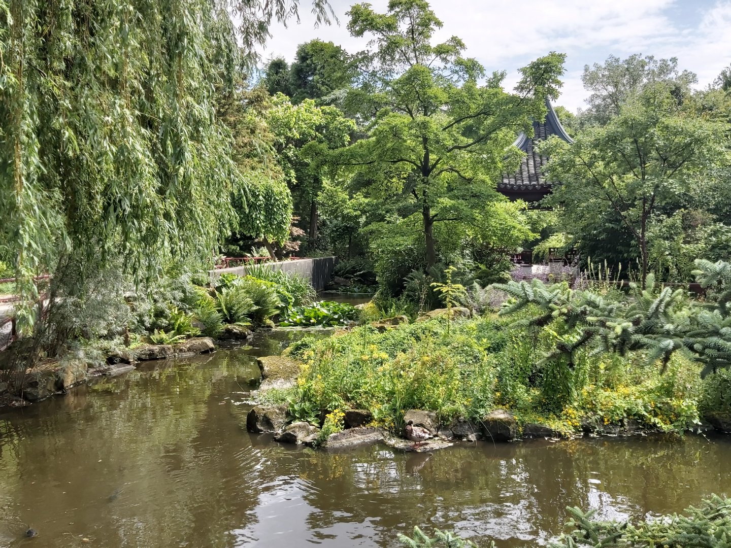 View in Chinese Garden