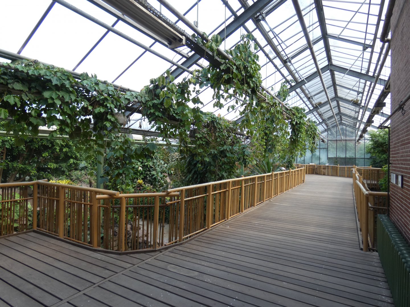 View in Crocodile House