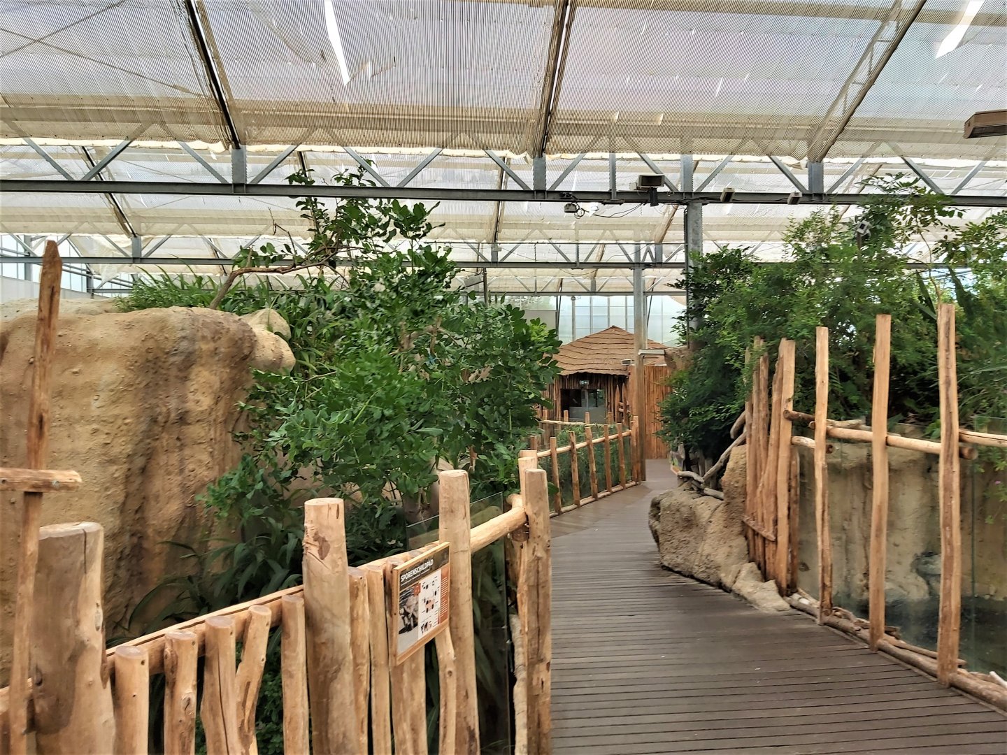 View in Crocodile River