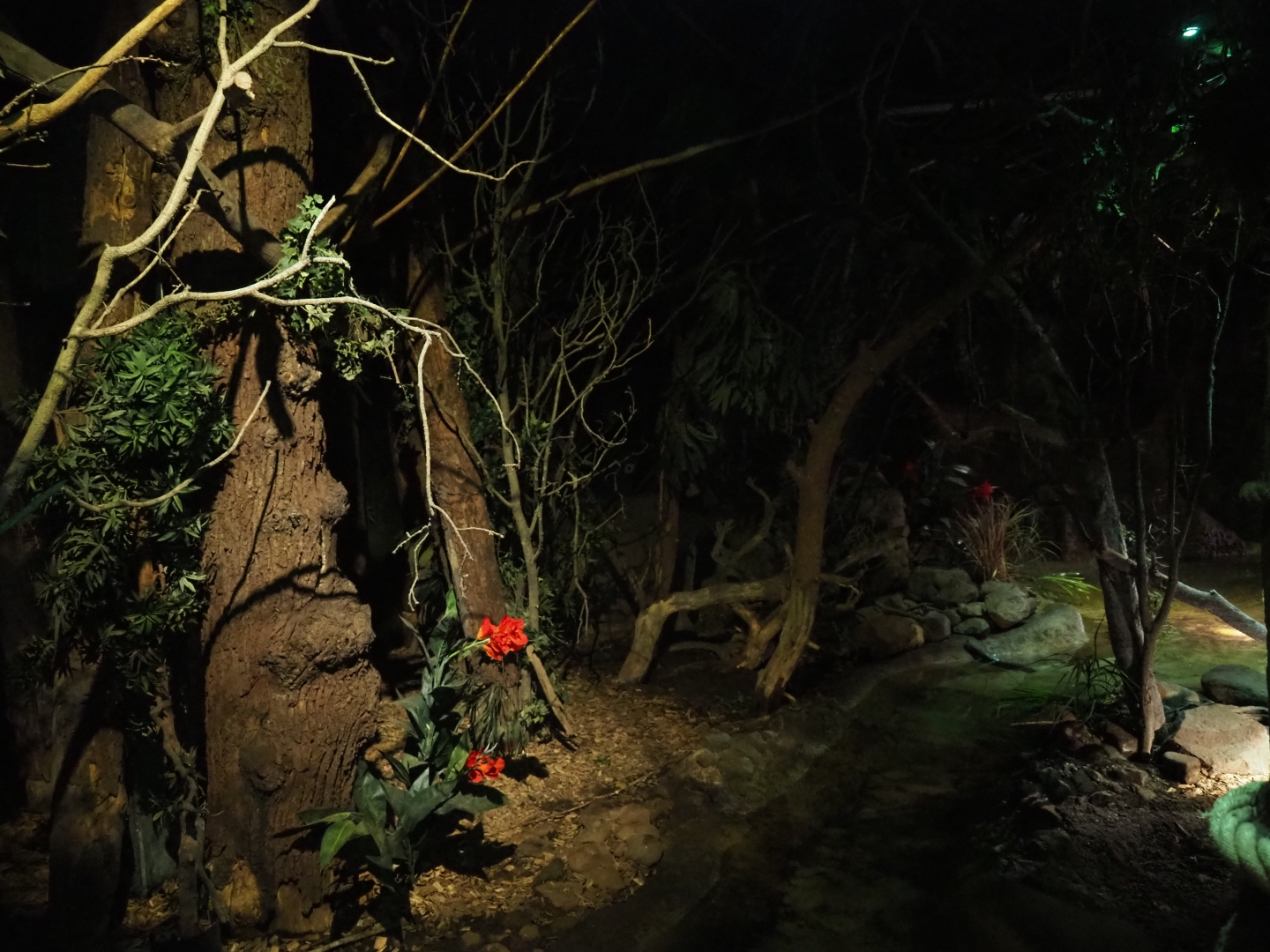 View in "De Nacht" nocturnal house