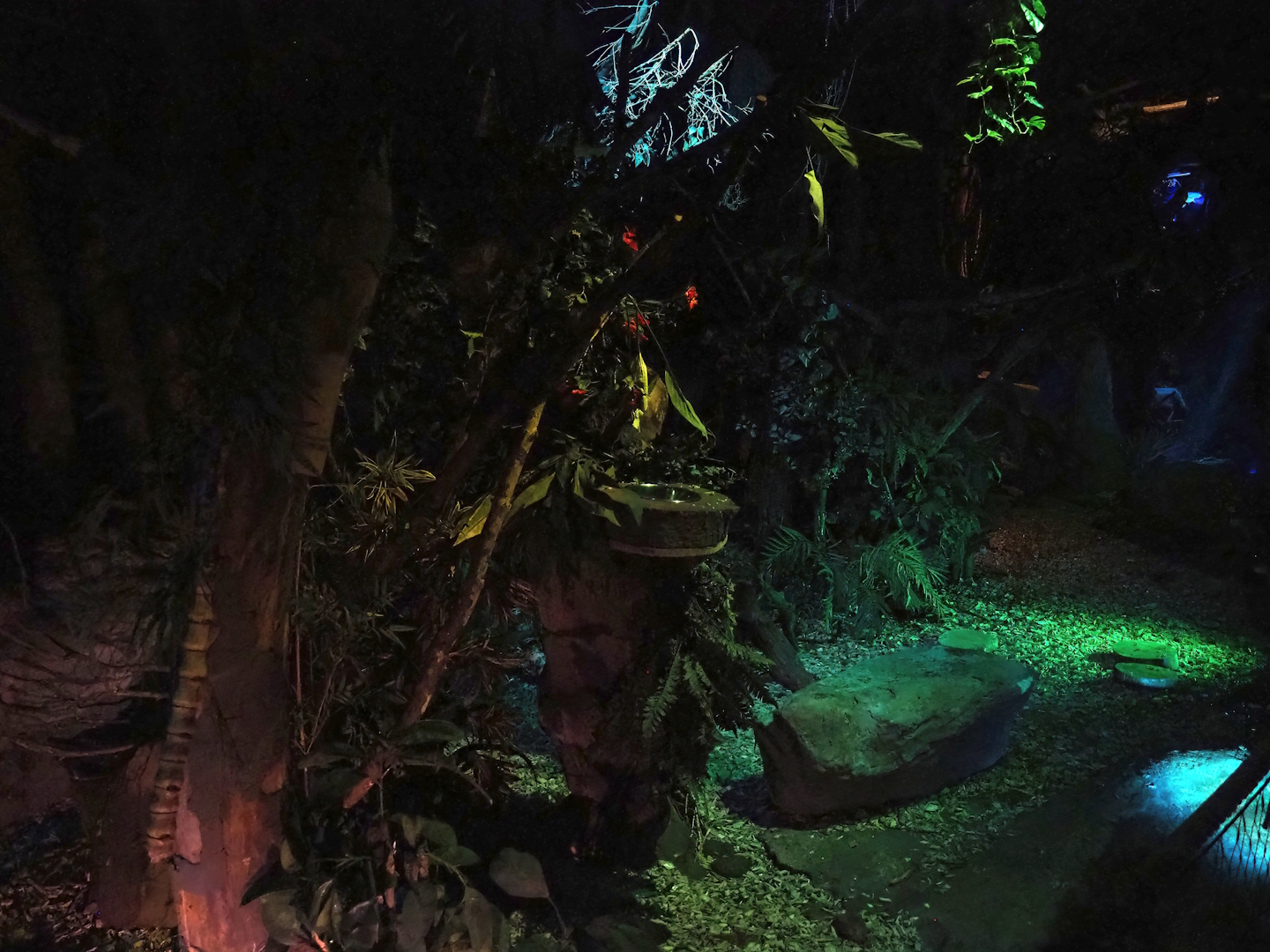 View in 'De Nacht' ('The Night') nocturnal house, 2023-09-24