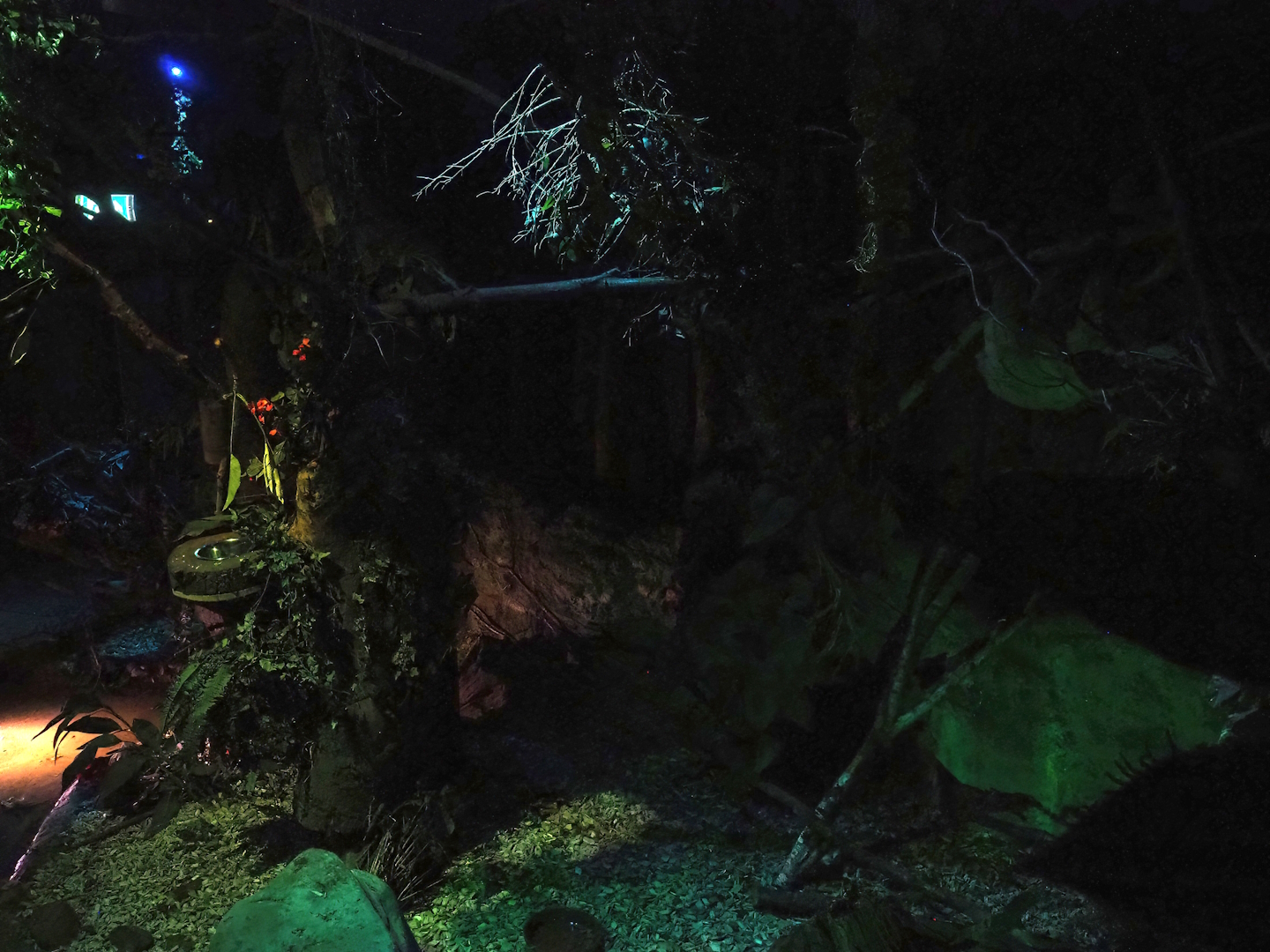 View in 'De Nacht' ('The Night') nocturnal house, 2023-09-24