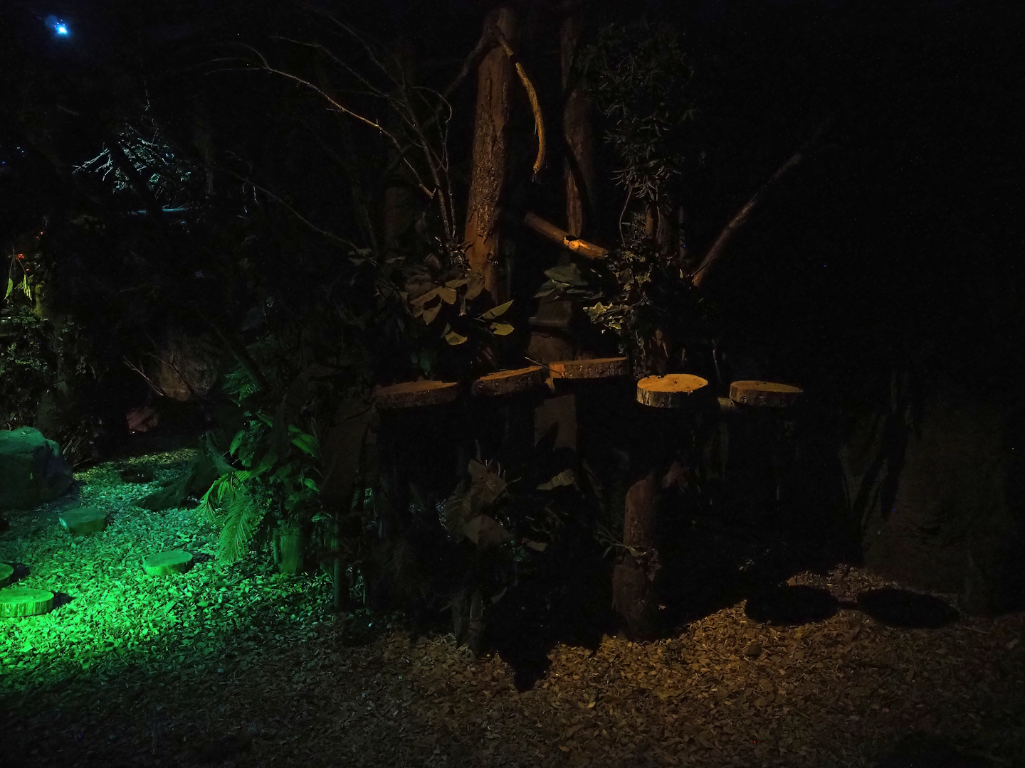 View in 'De Nacht' ('The Night') nocturnal house, 2023-09-24