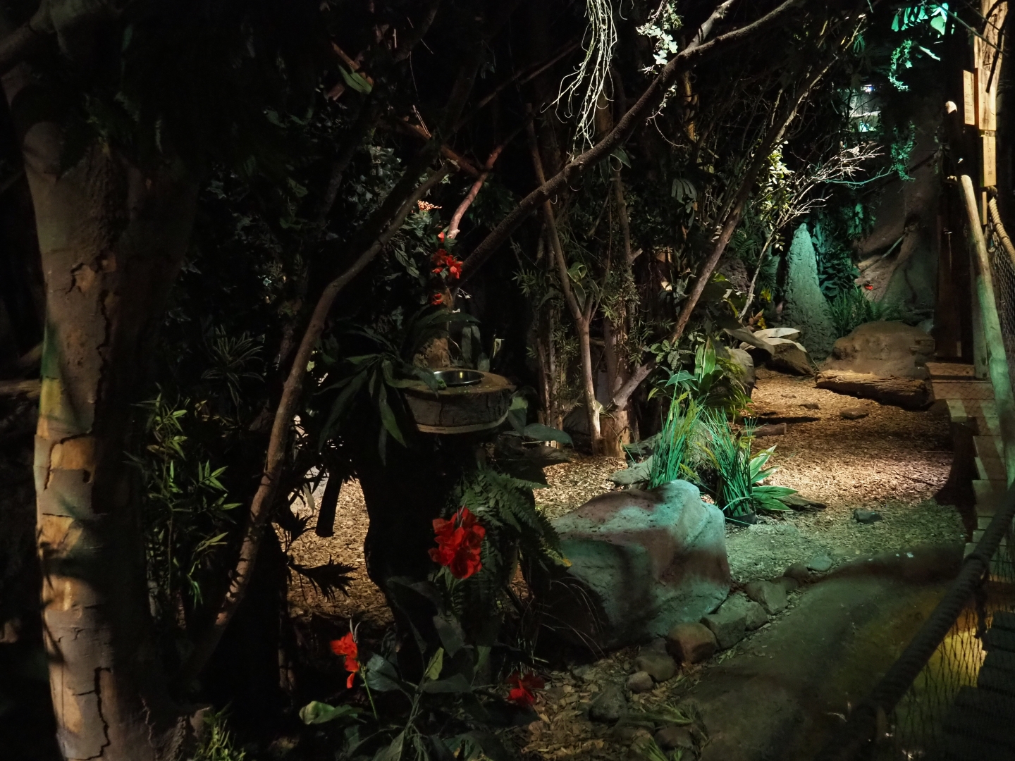 View in "De Nacht"/"The Night" nocturnal house