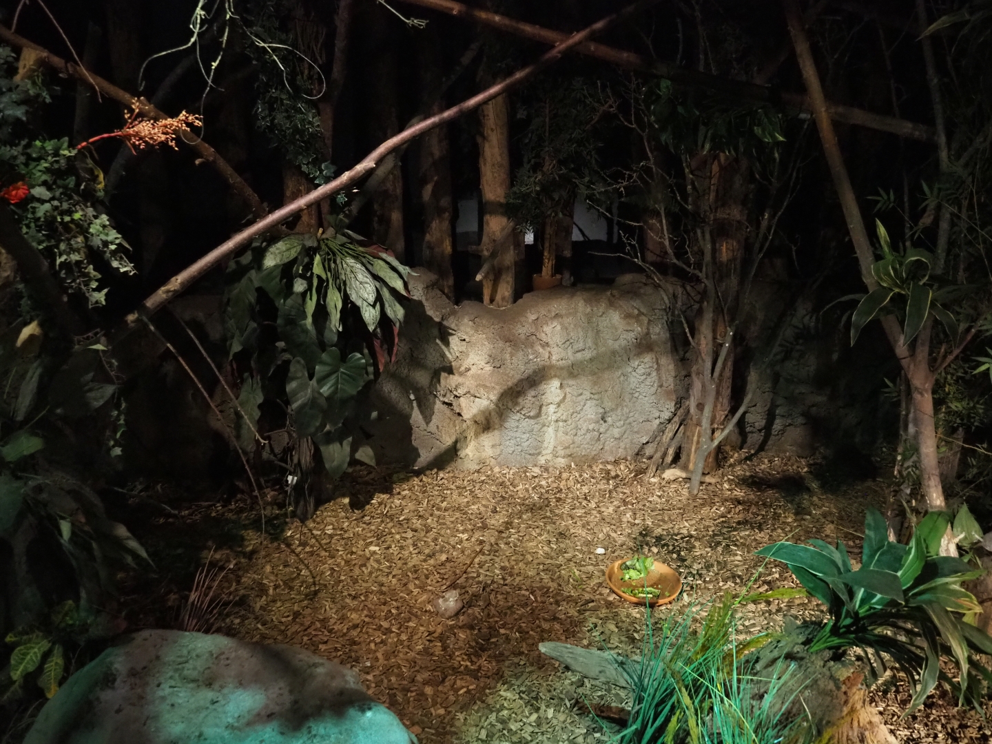 View in "De Nacht"/"The Night" nocturnal house