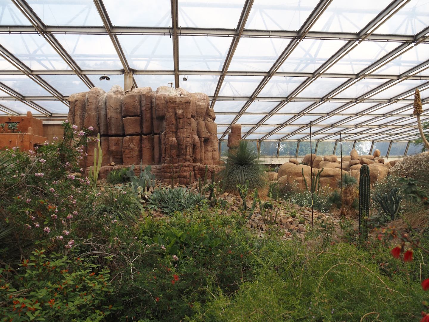 View in Desert with oasis area and big rock, 2025-05-17