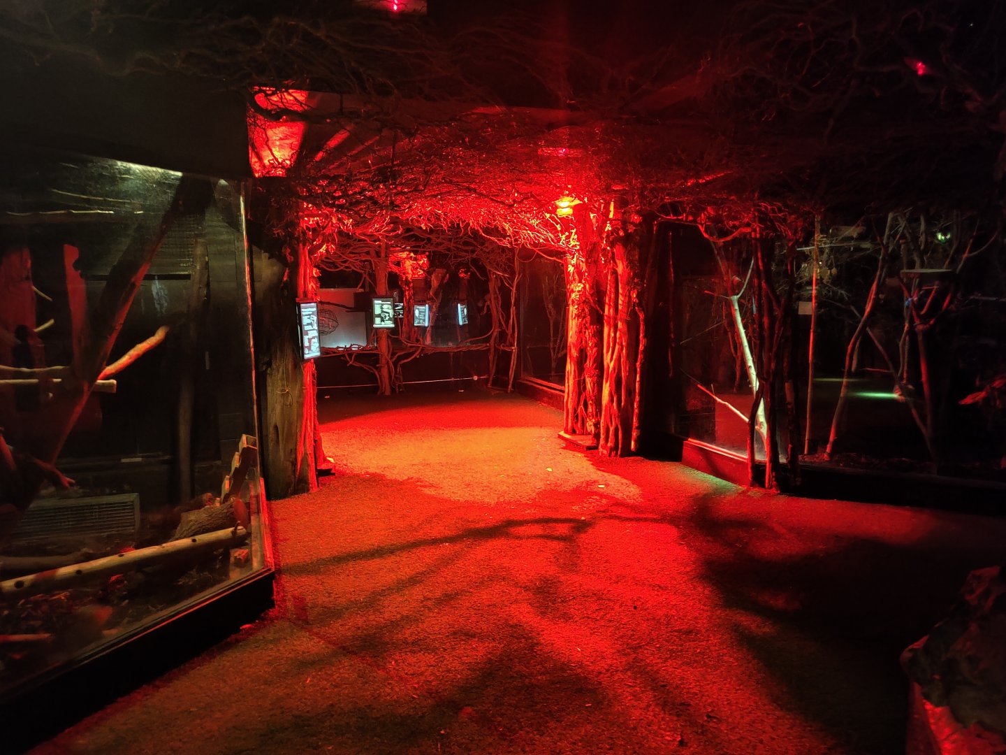 View in forest area (Twilight World)