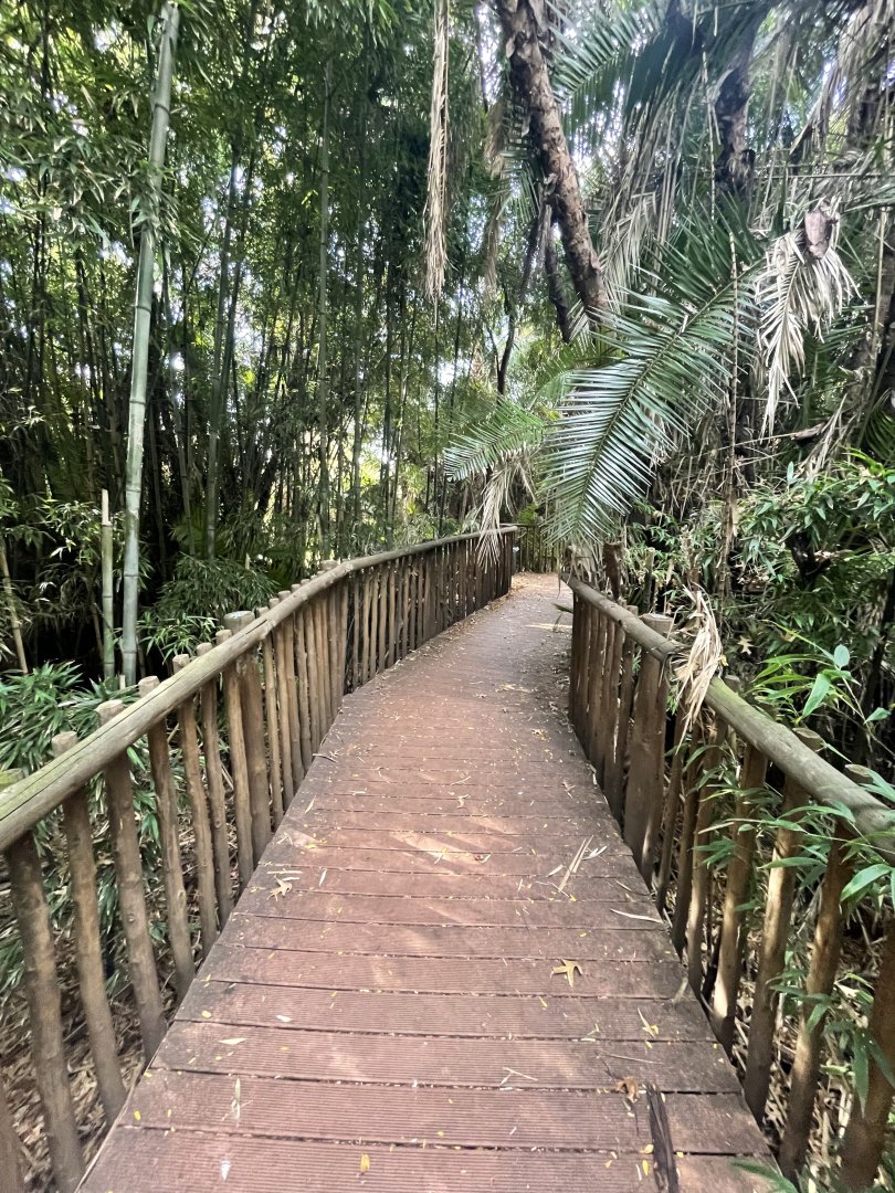 View in Forest Floor Section