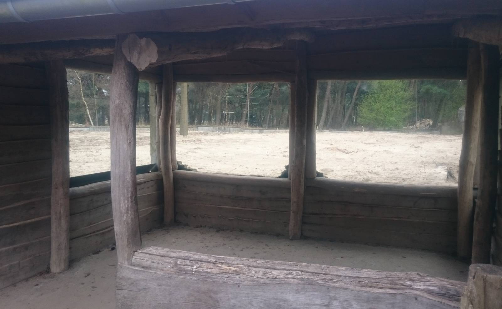 View in former Bear enclosure