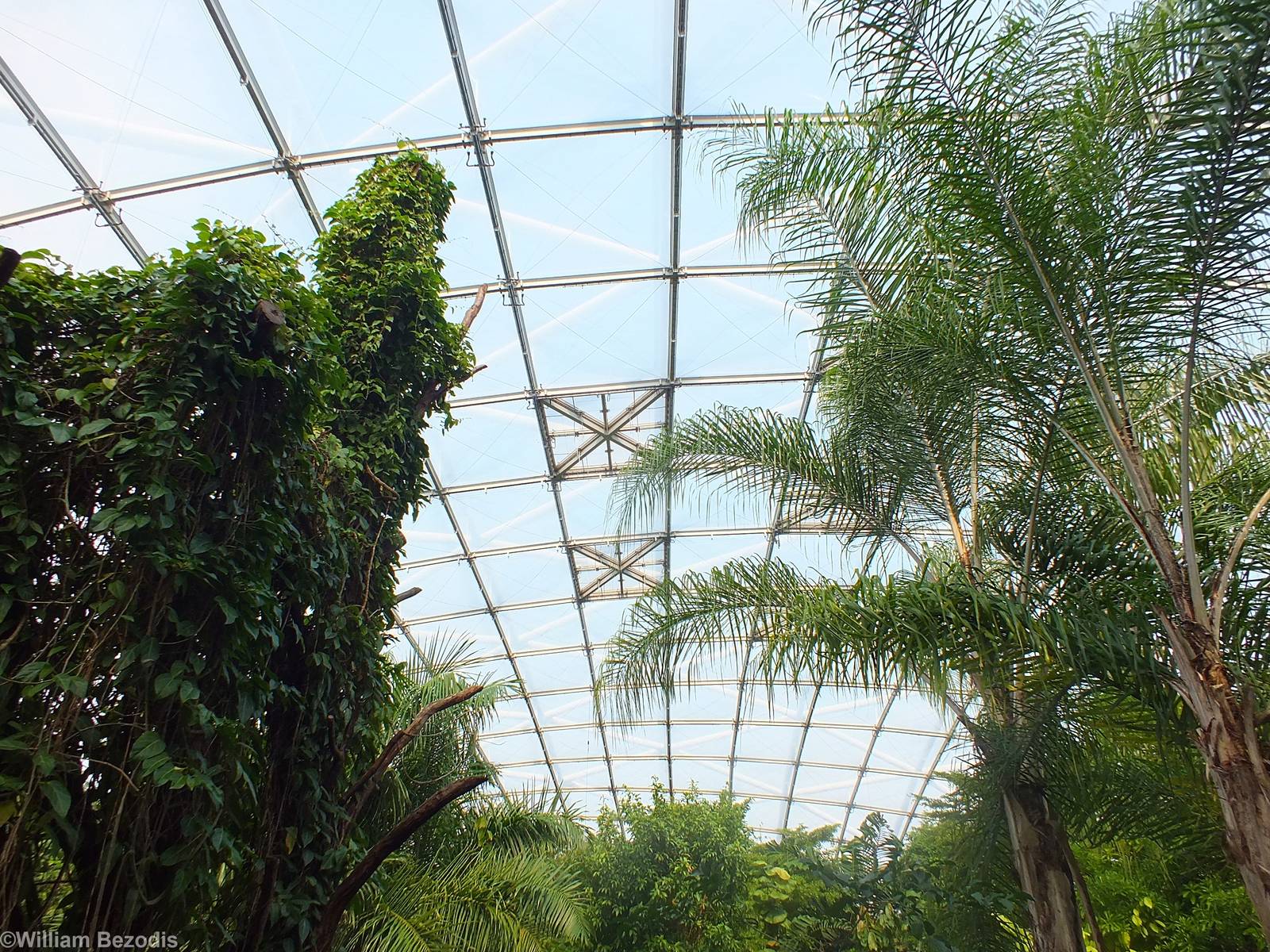 View in Gondwanaland