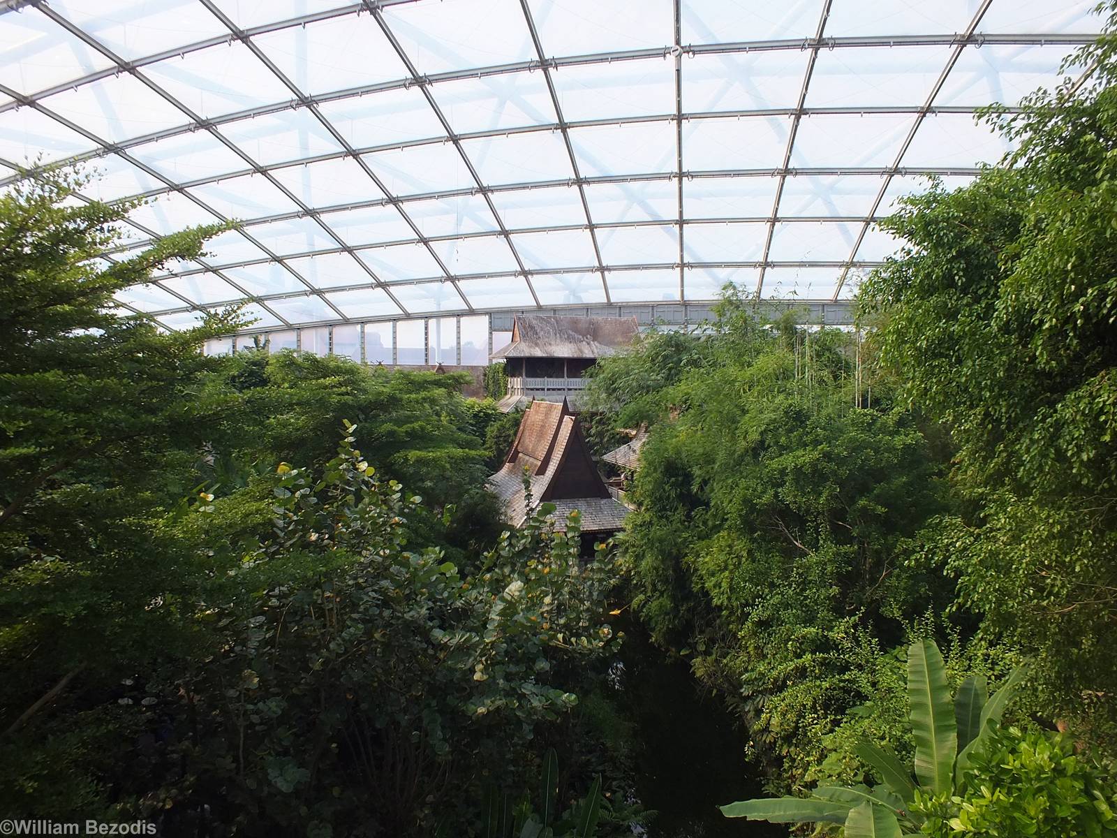 View in Gondwanaland