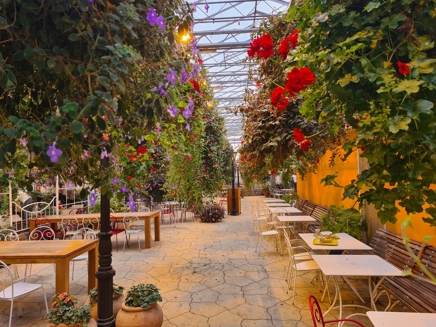 View in hanging gardens restaurant