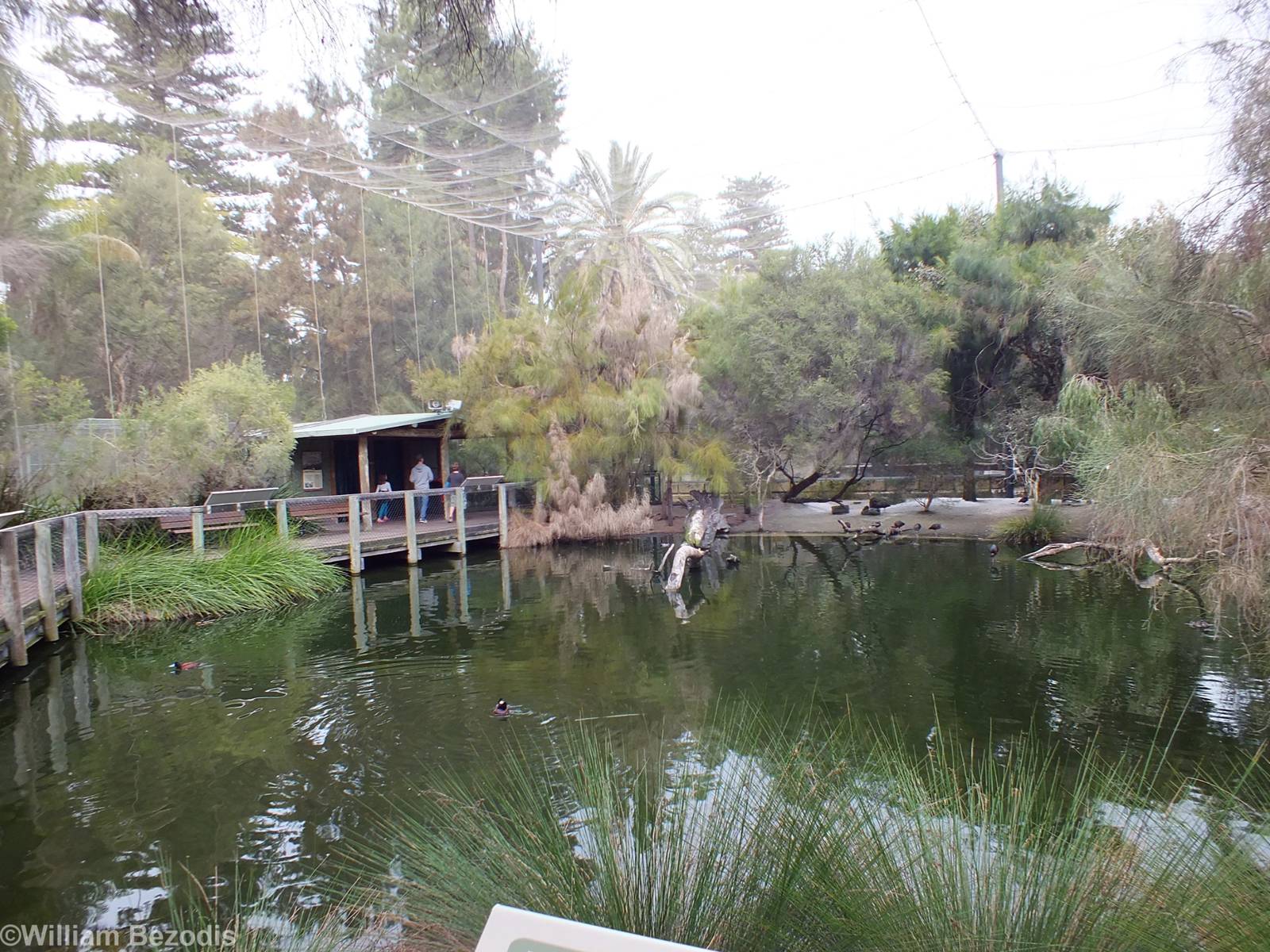 View in Huge Wetlands Aviary