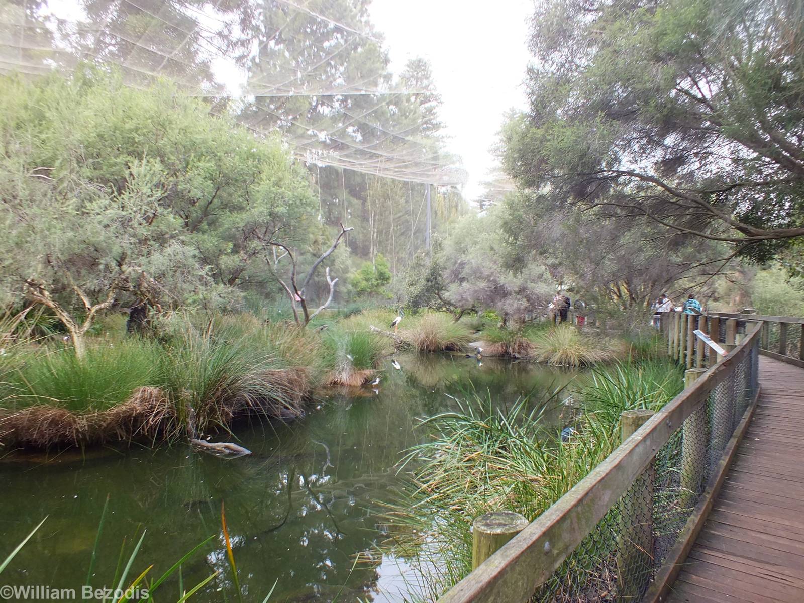 View in Huge Wetlands Aviary