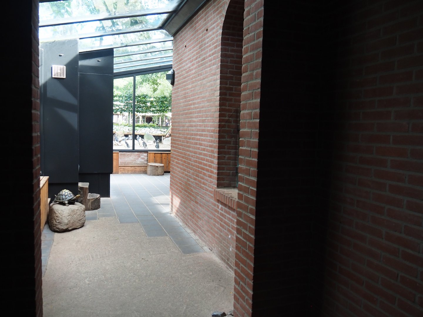 View in Indian rhinoceros house, 2023-09-24