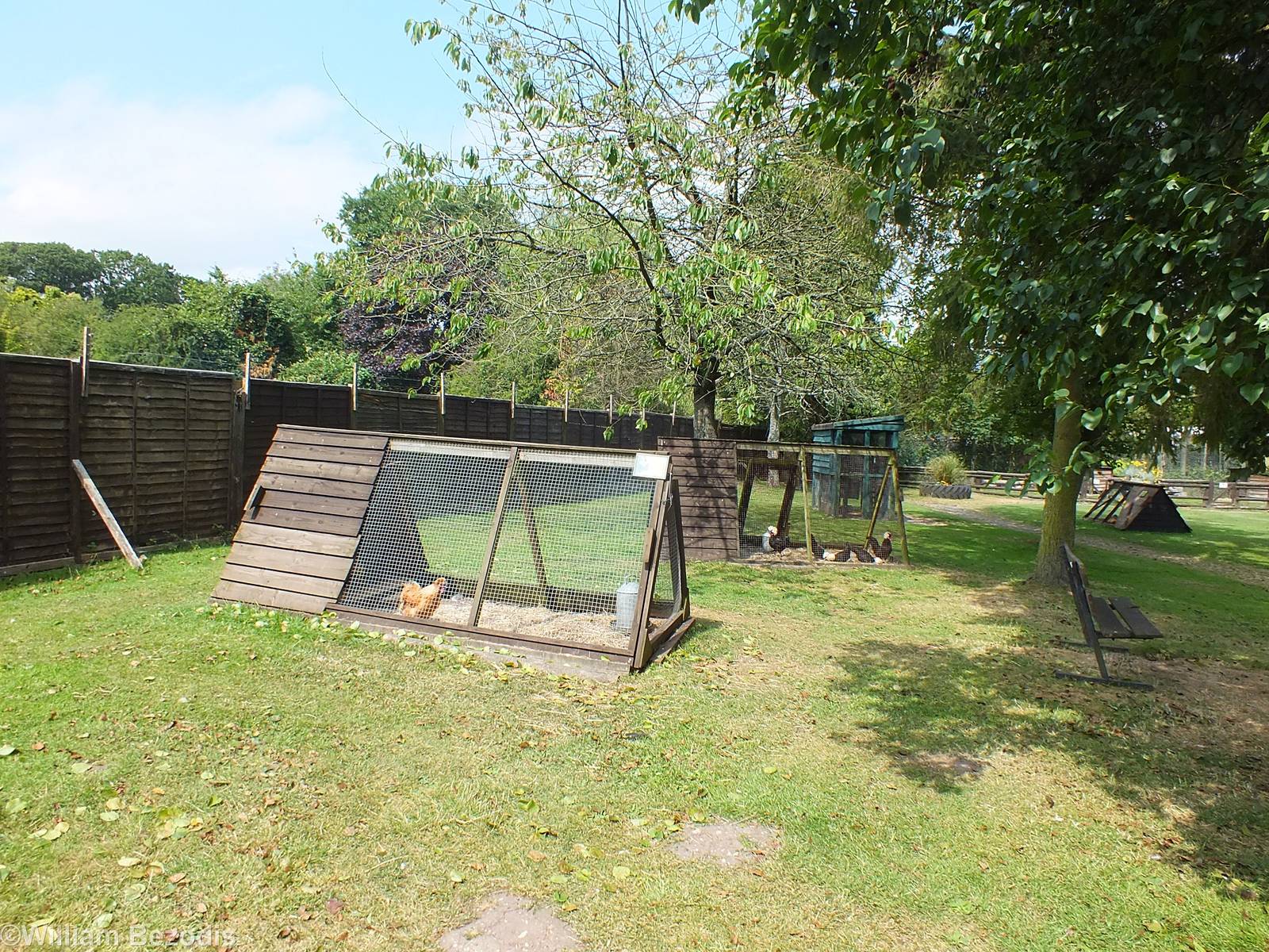 View in Jenny Wren Farm