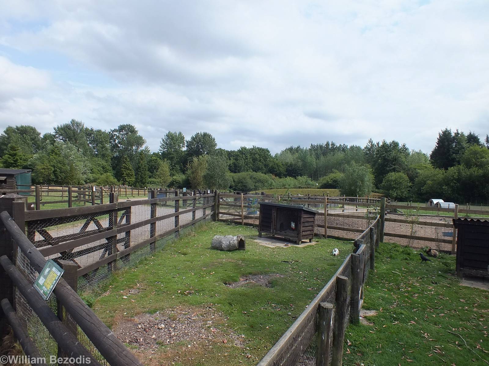 View in Jenny Wren Farm