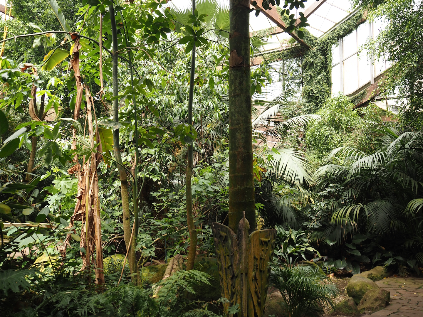 View in Jungle Trail, 2024-05-22