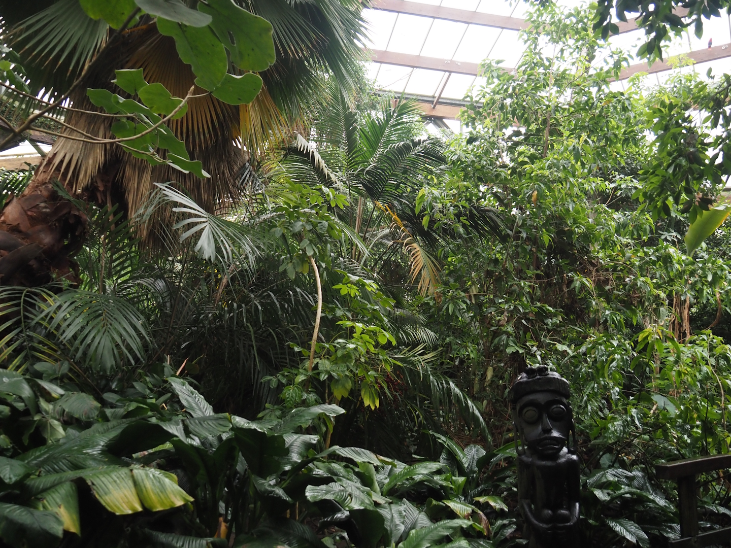View in Jungle Trail, 2024-05-22