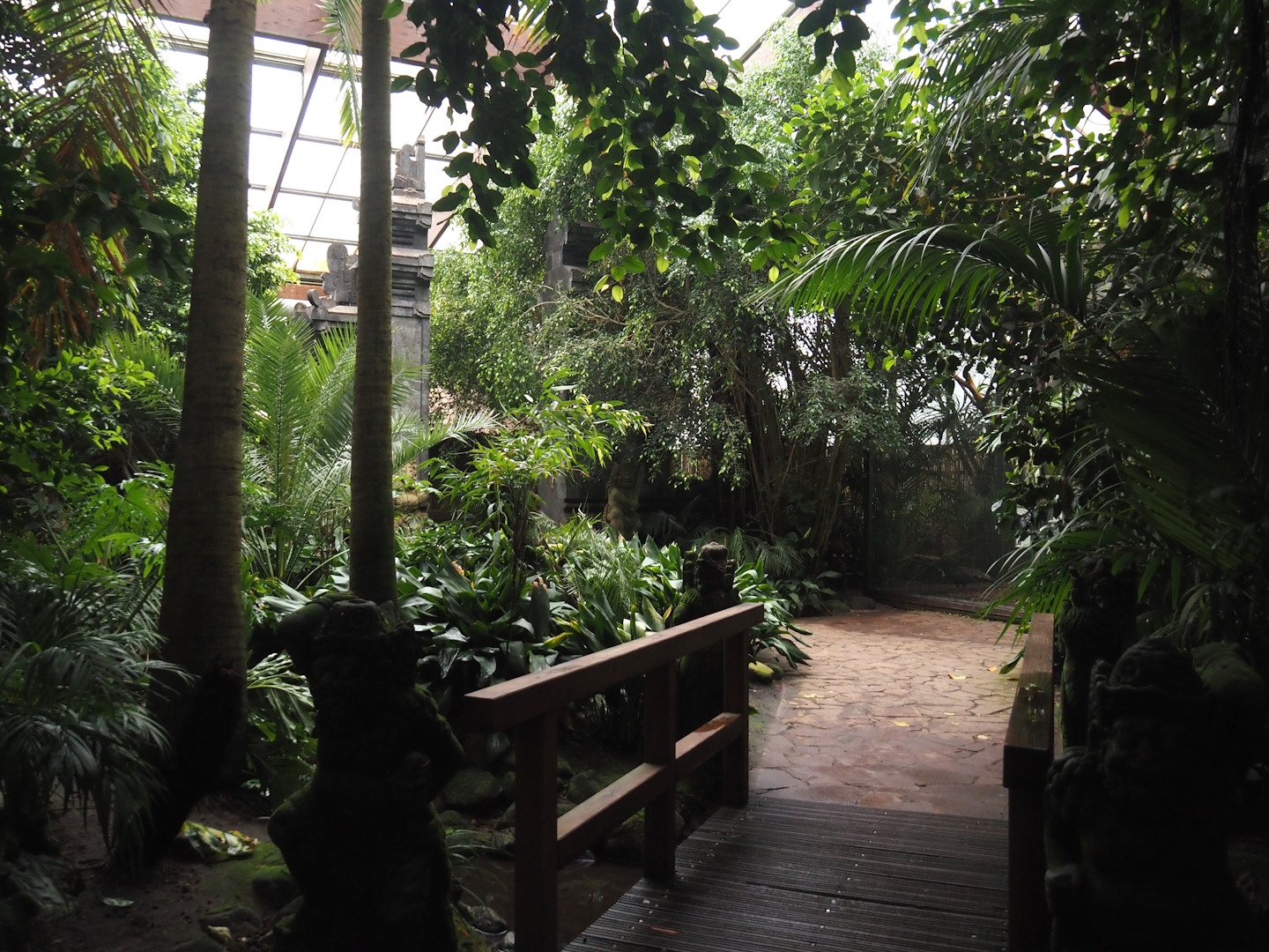 View in Jungle Trail, 2024-05-22