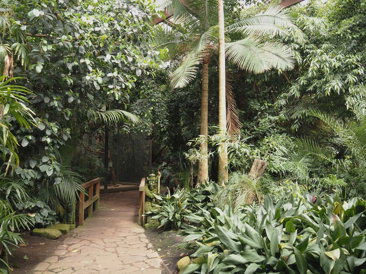 View in Jungle Trail, 2024-05-23