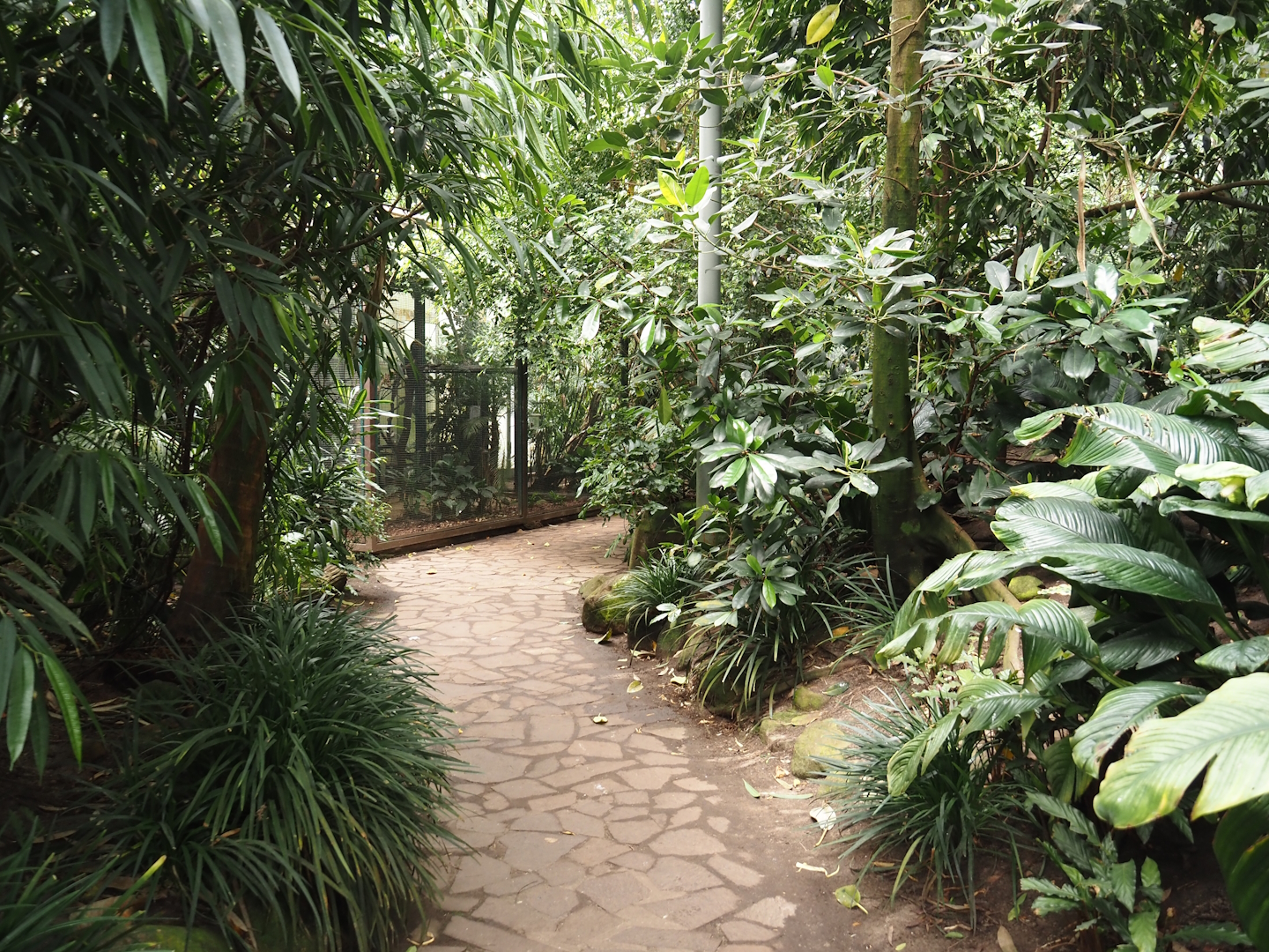 View in Jungle Trail,  2024-05-23