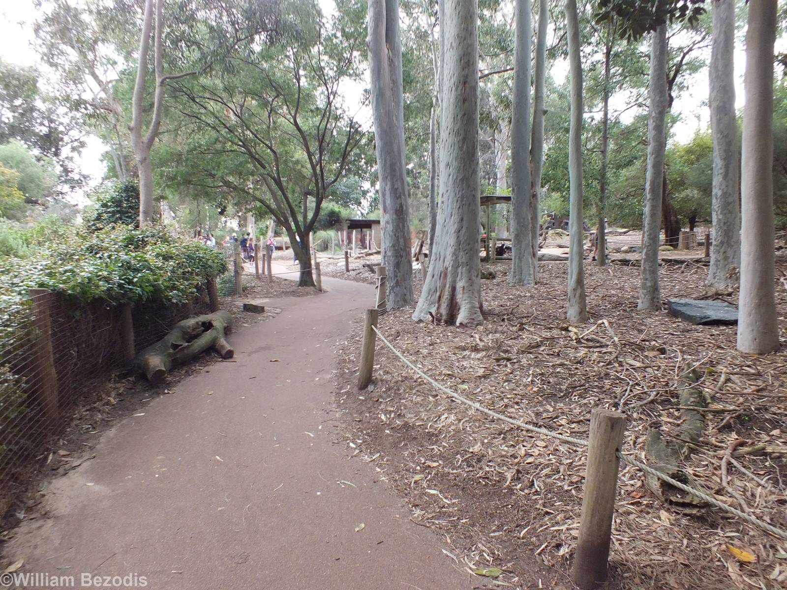 View in Kangaroo Walkthrough