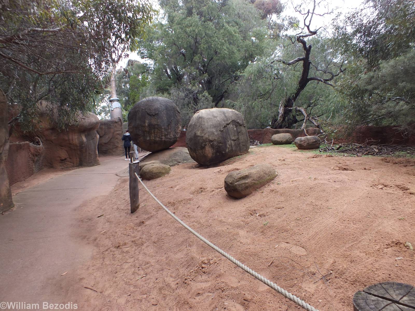 View in Kangaroo Walkthrough