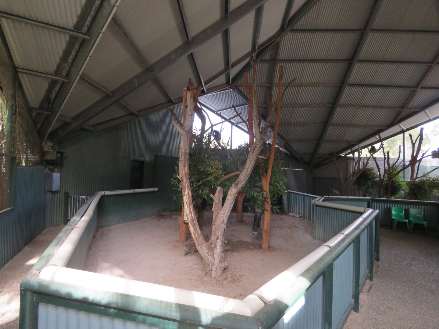 View in Koala House