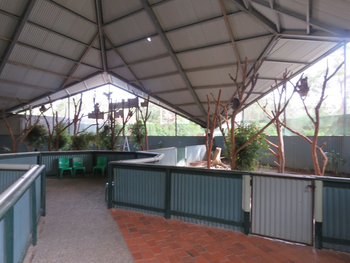 View in Koala House