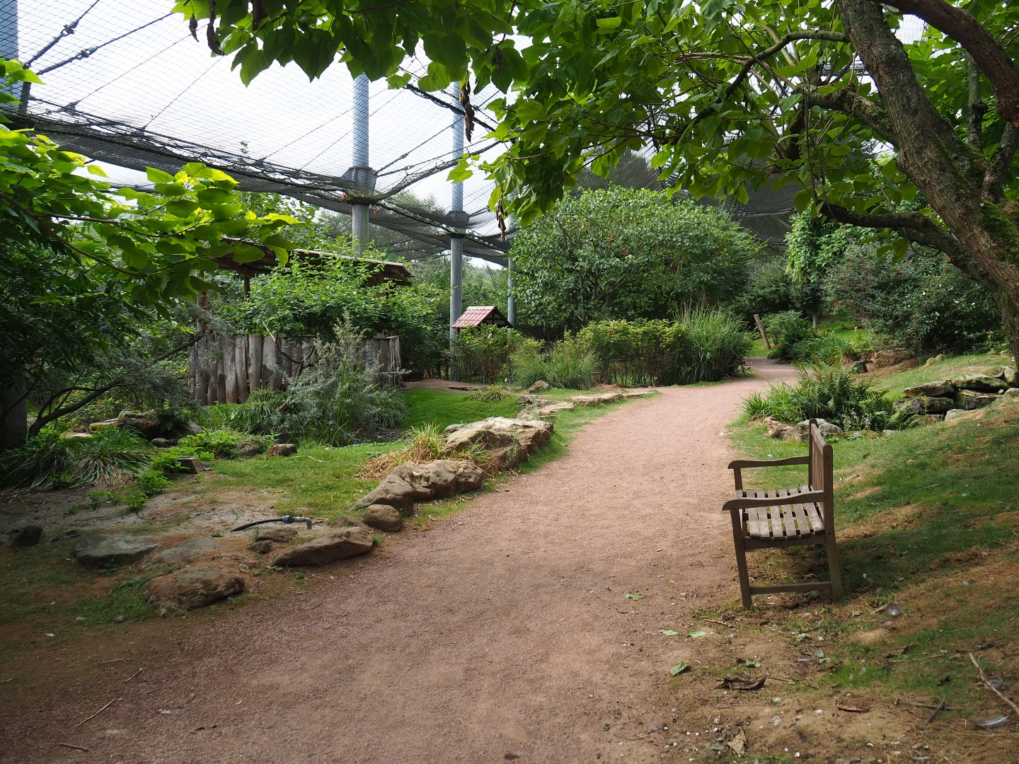 View in large aviary (Aug 28th, 2018)