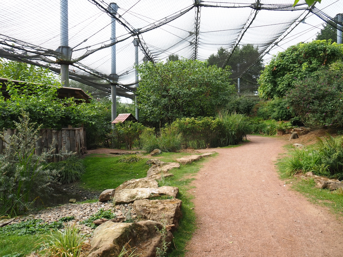 View in large aviary (Aug 28th, 2018)