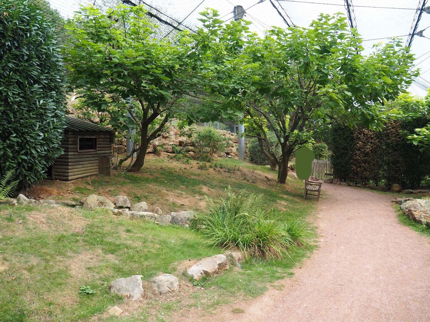 View in large aviary (Aug 28th, 2018)