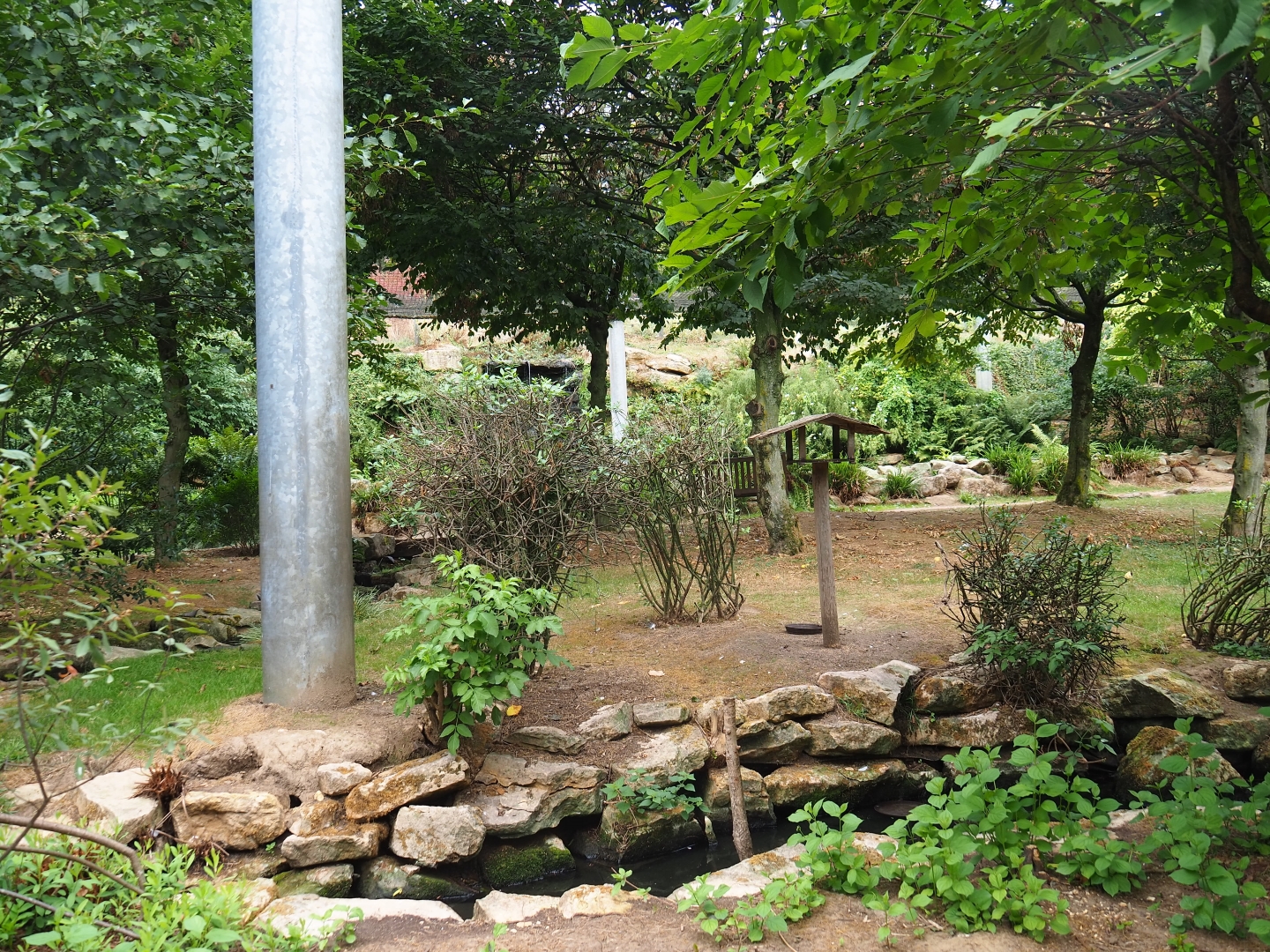 View in large aviary (Aug 28th, 2018)