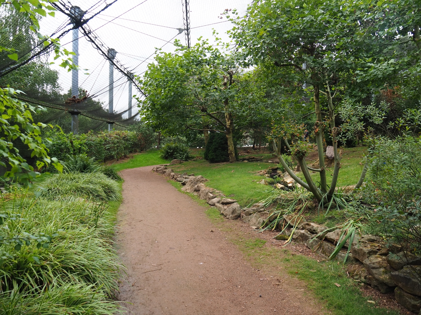 View in large aviary (Aug 28th, 2018)