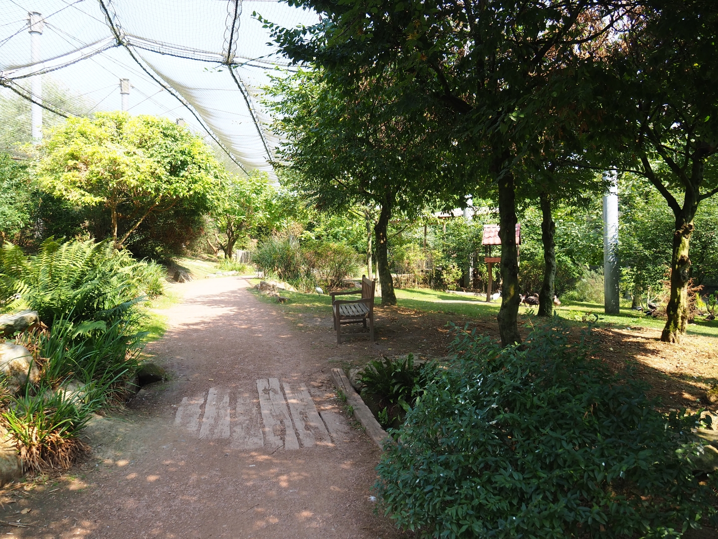 View in large aviary (Aug 28th, 2018)