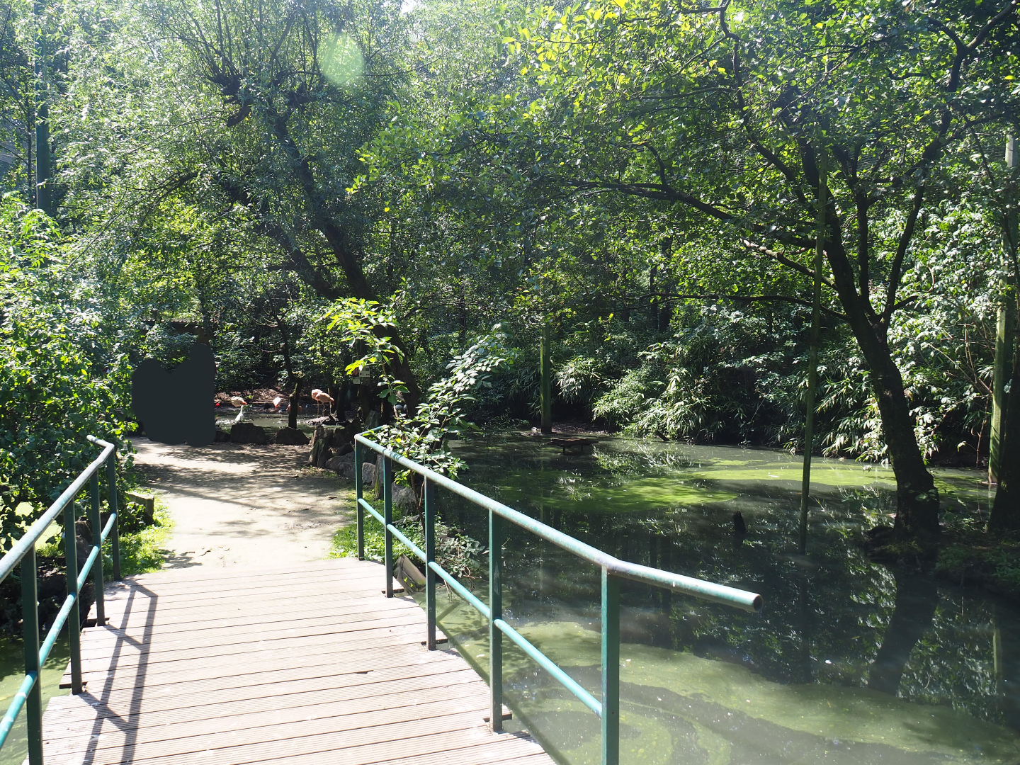 View in large walk-through aviary, 2019-08-04