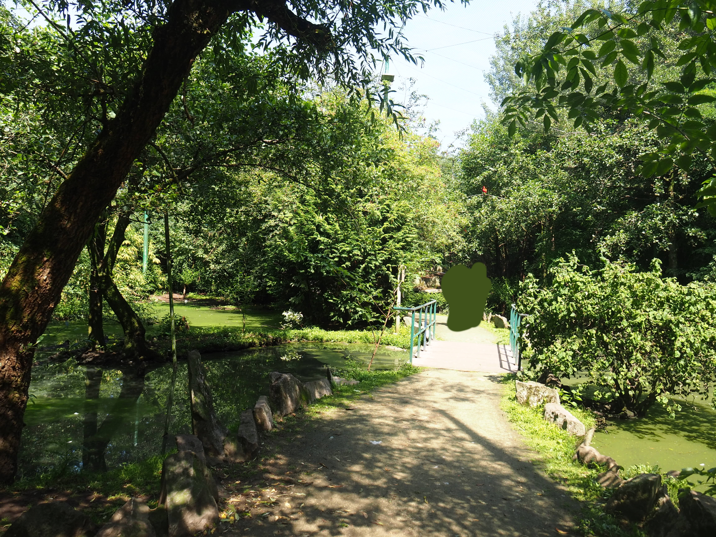 View in large walk-through aviary, 2019-08-04