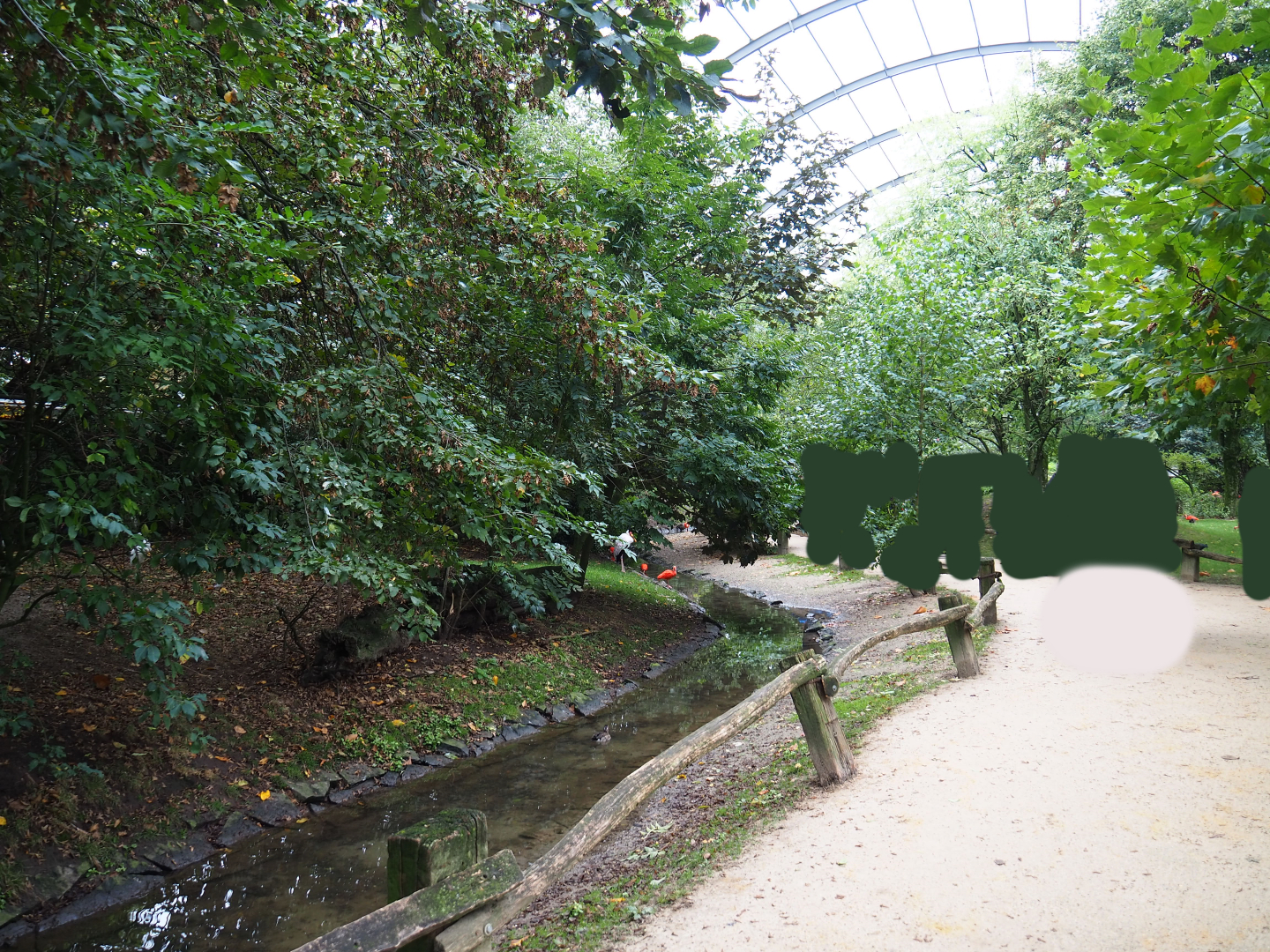 View in large walk-through aviary, 2019-10-05