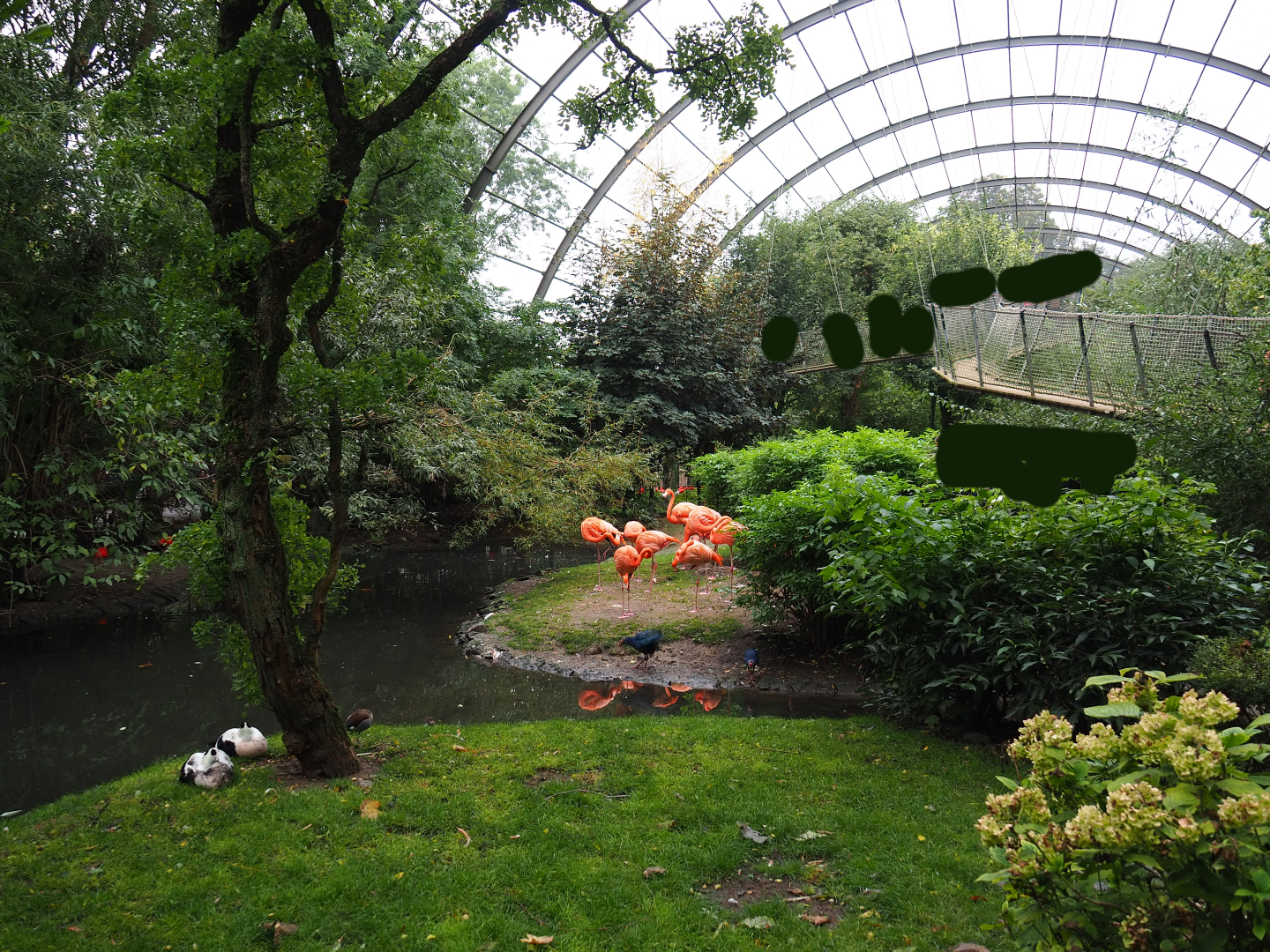 View in large walk-through aviary, 2019-10-05