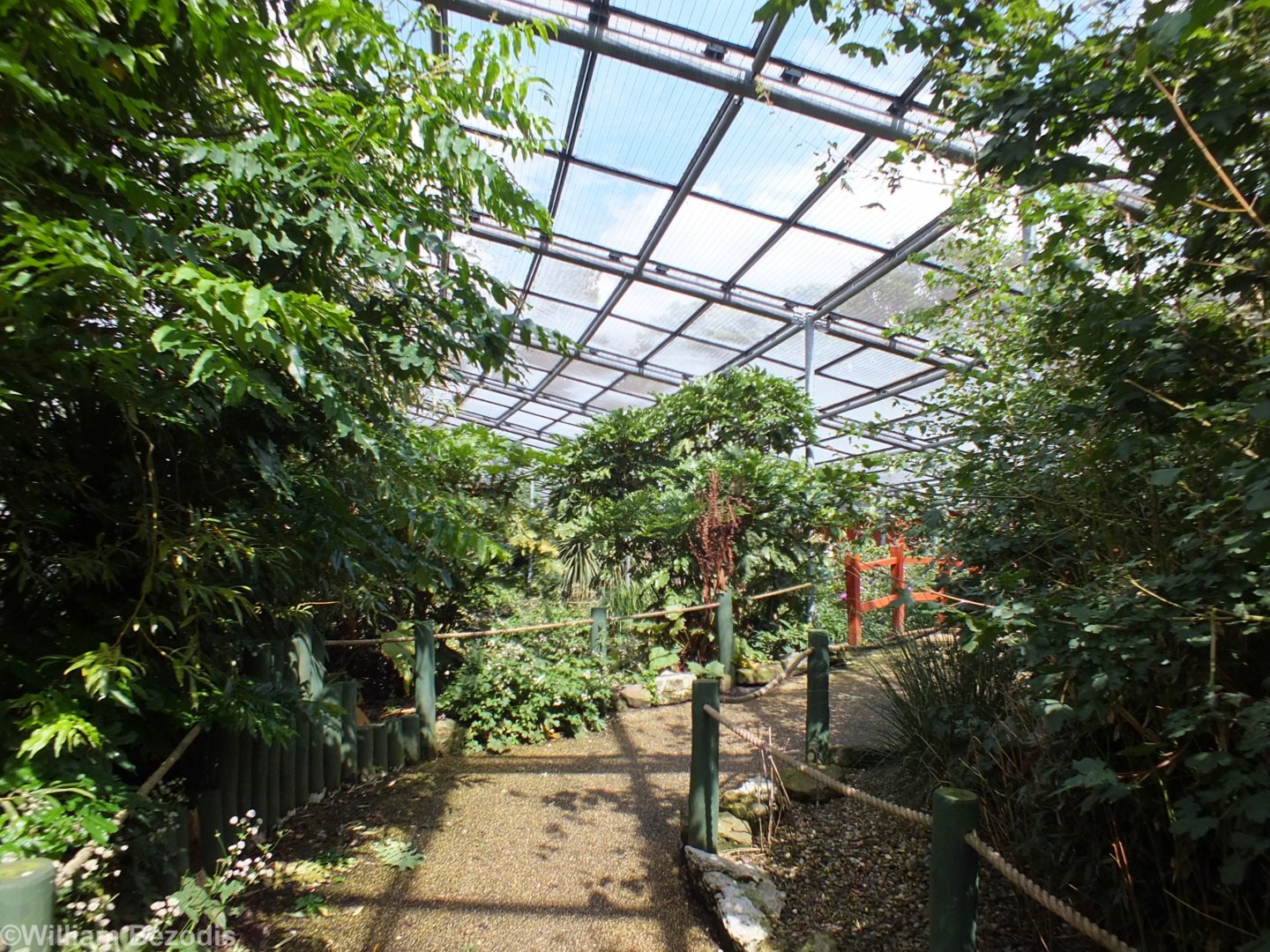 View in Large Walkthrough Aviary