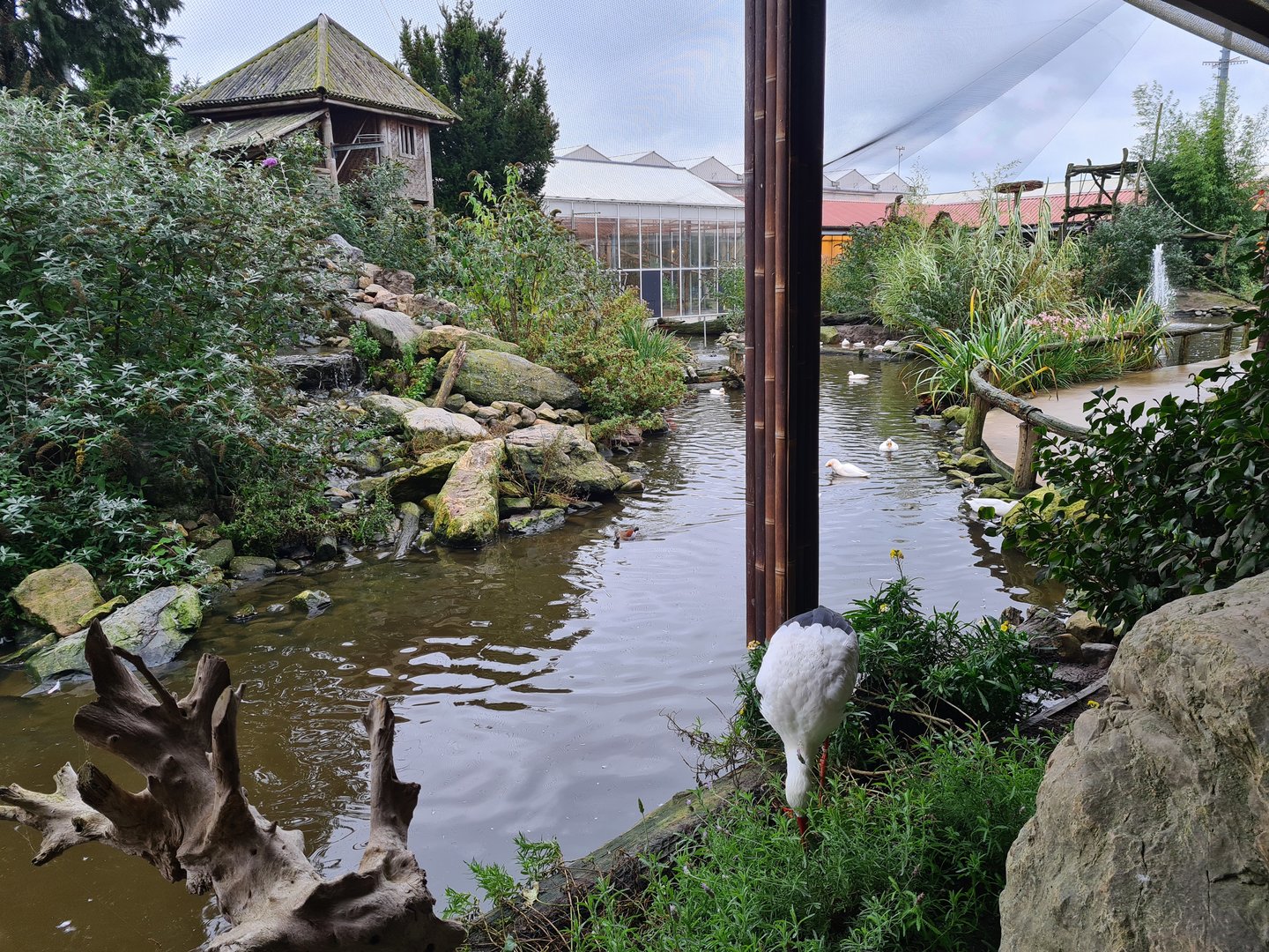 View in Lemur kingdom