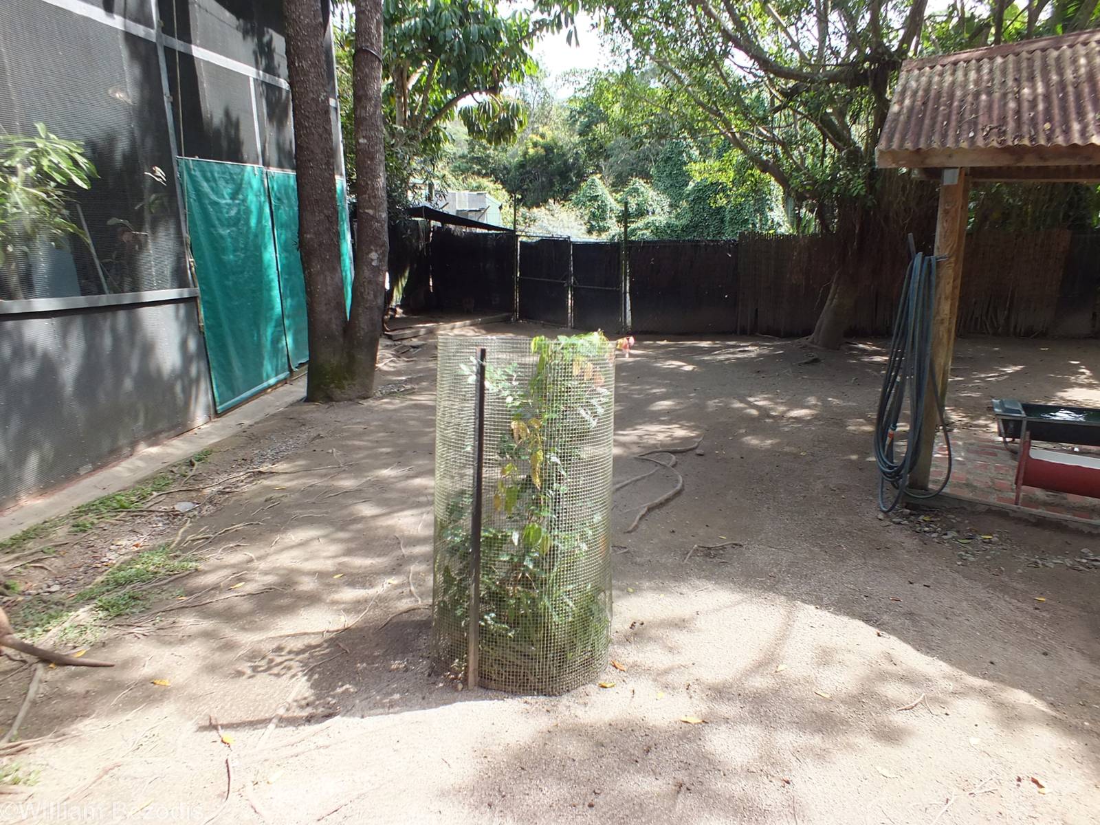 View in Macropod Walkthrough Enclosure