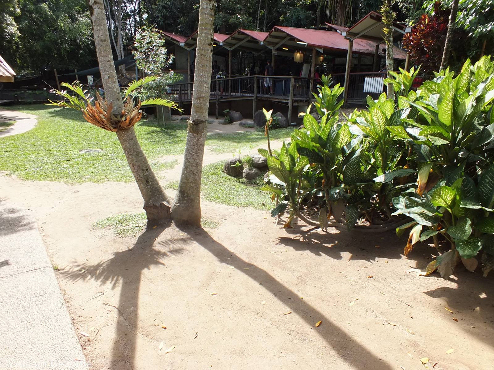 View in Macropod Walkthrough Enclosure