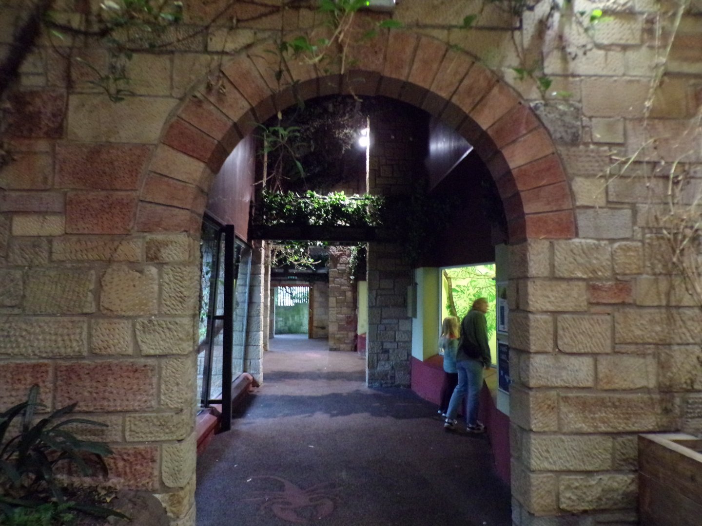 View in magic forest in the evening 22.7.23