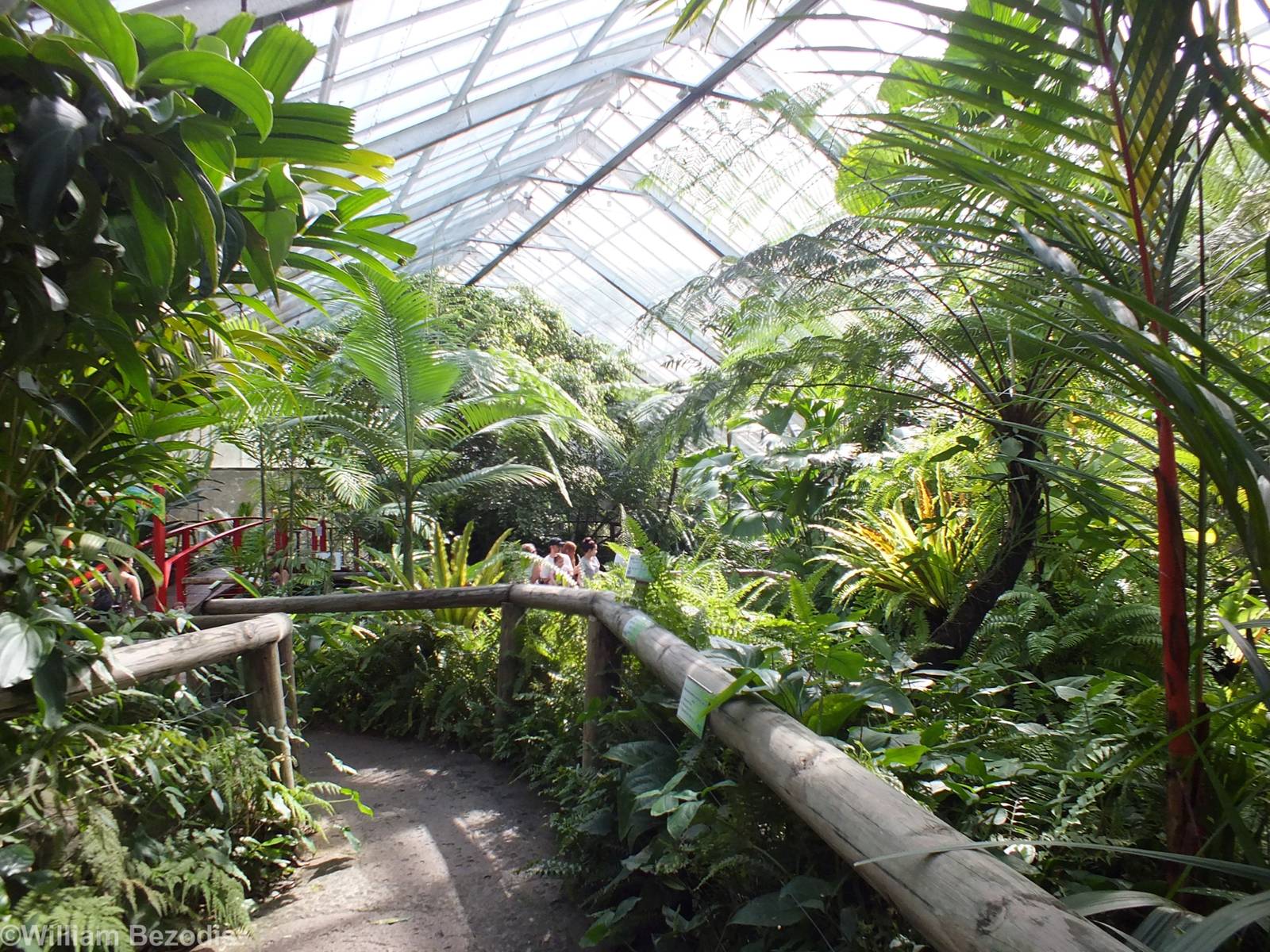 View in Main Greenhouse