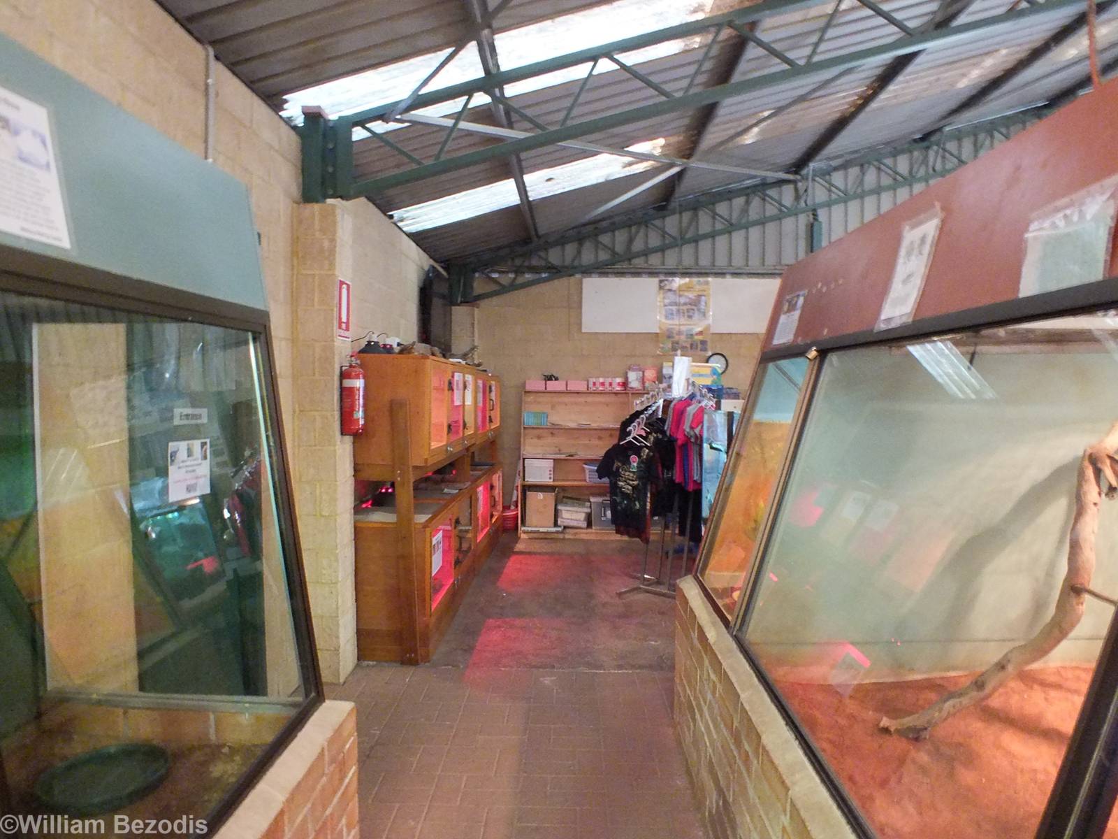 View in Main Reptile Barn Looking Towards Gift Shop