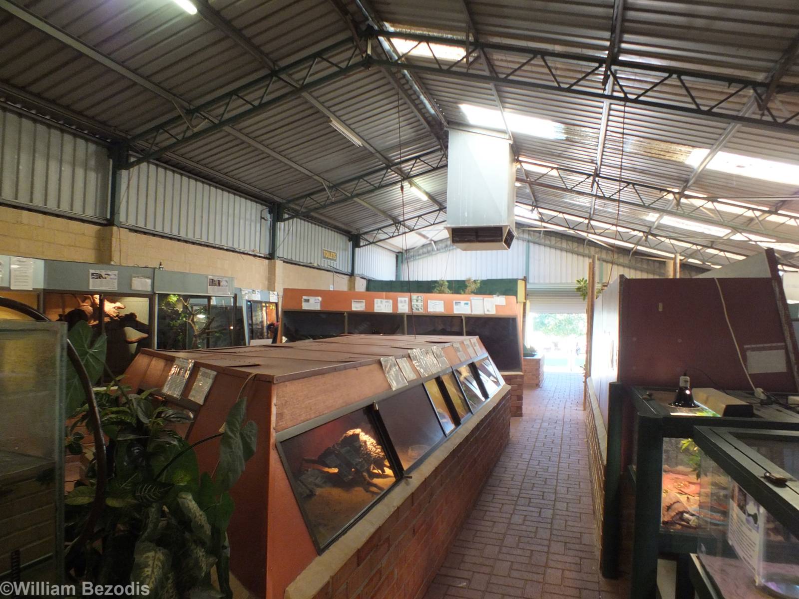 View in Main Reptile Barn