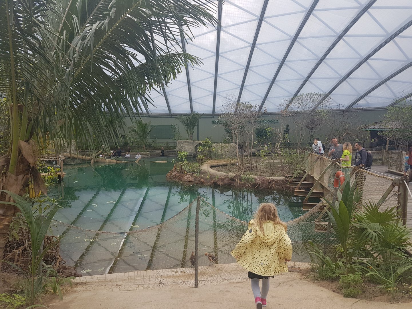 View in Mangrove-hall