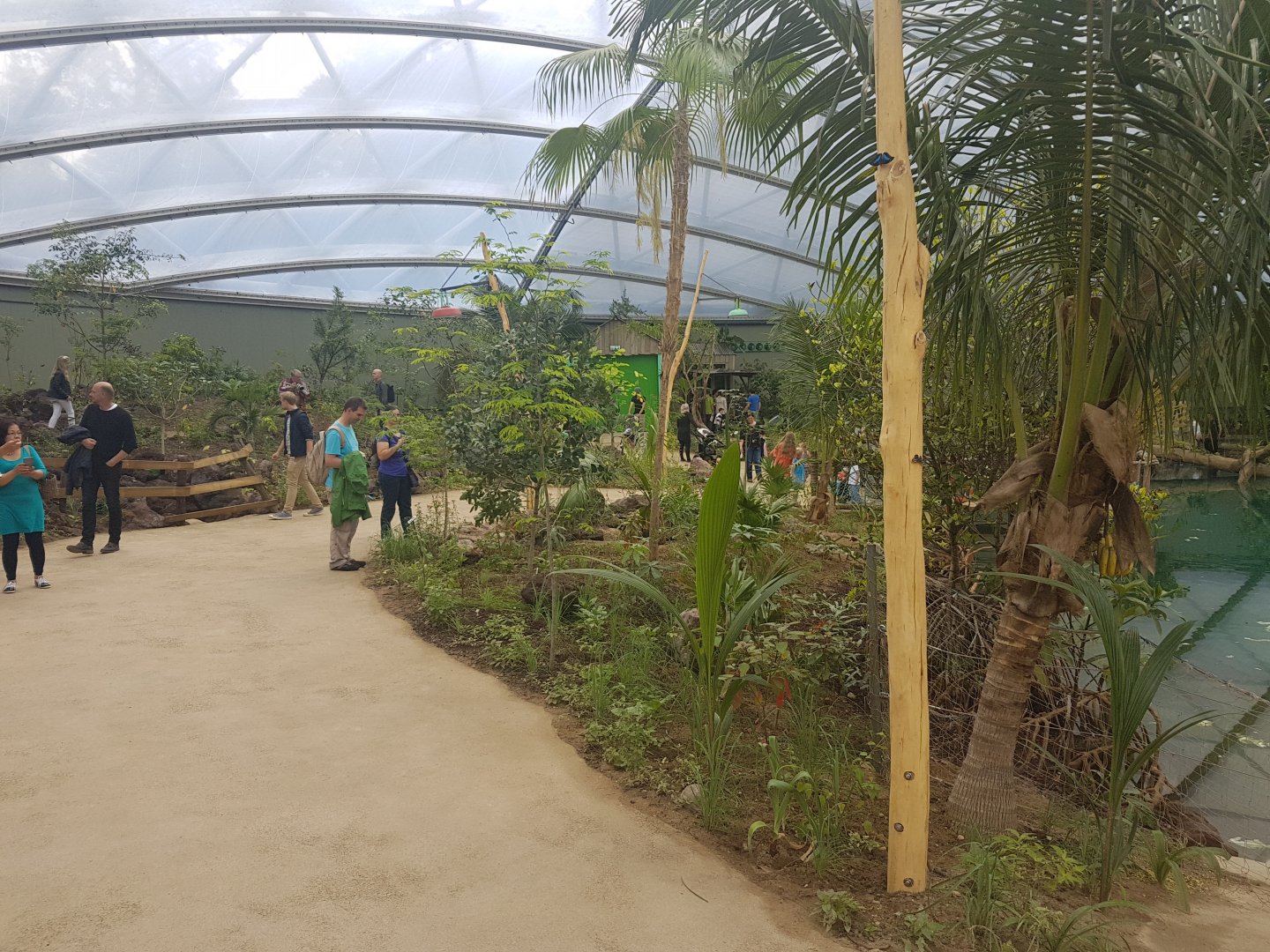 View in Mangrove-hall